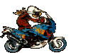 animiertes BIKE