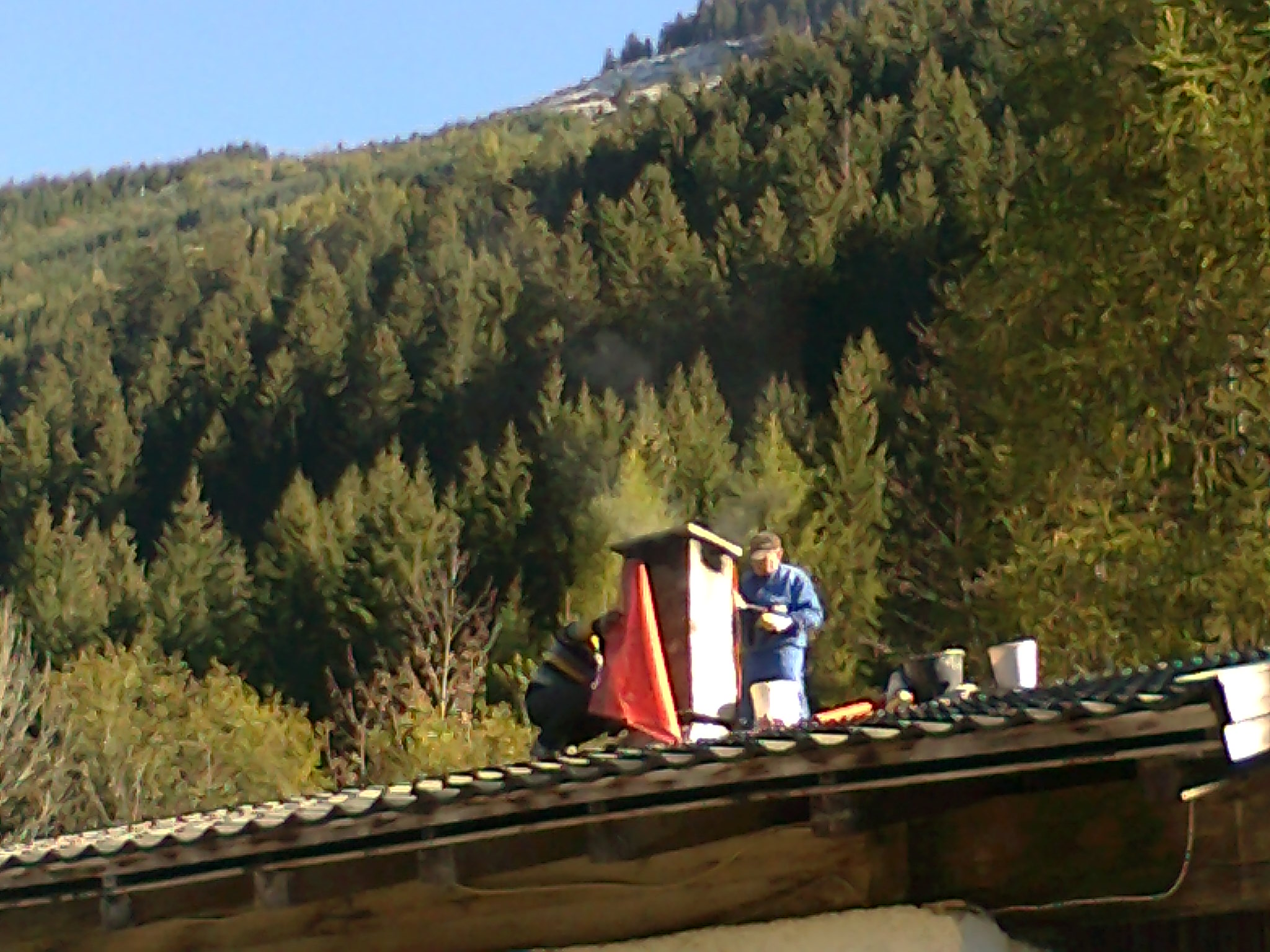 Foto0262